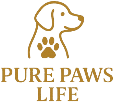 Can Dogs Eat Corn? Health Benefits, Risks & Feeding Guide - Pure Paws Life