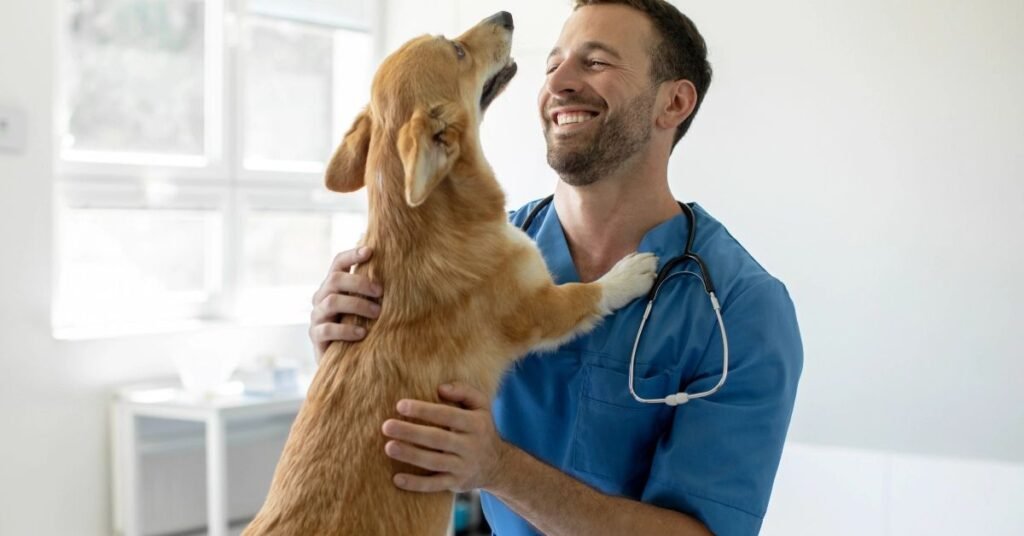 Veterinarian examining a dog’s coat for hair loss
