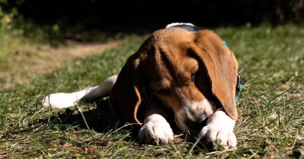 Hidden Dangers: Why You Cannot Ignore the Habit