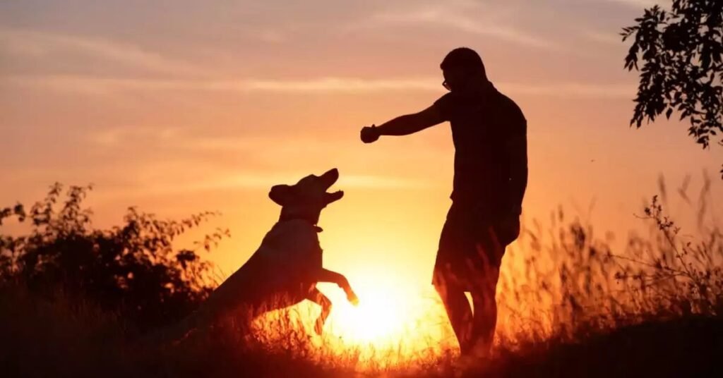 why are dogs so loyal