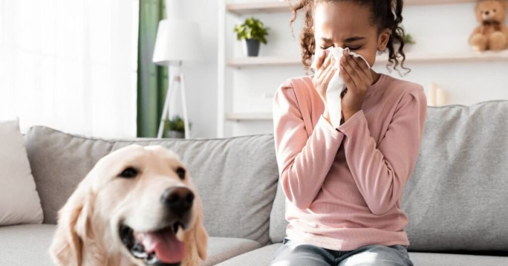 symptoms of dog flu and human-to-dog flu transmission explained
