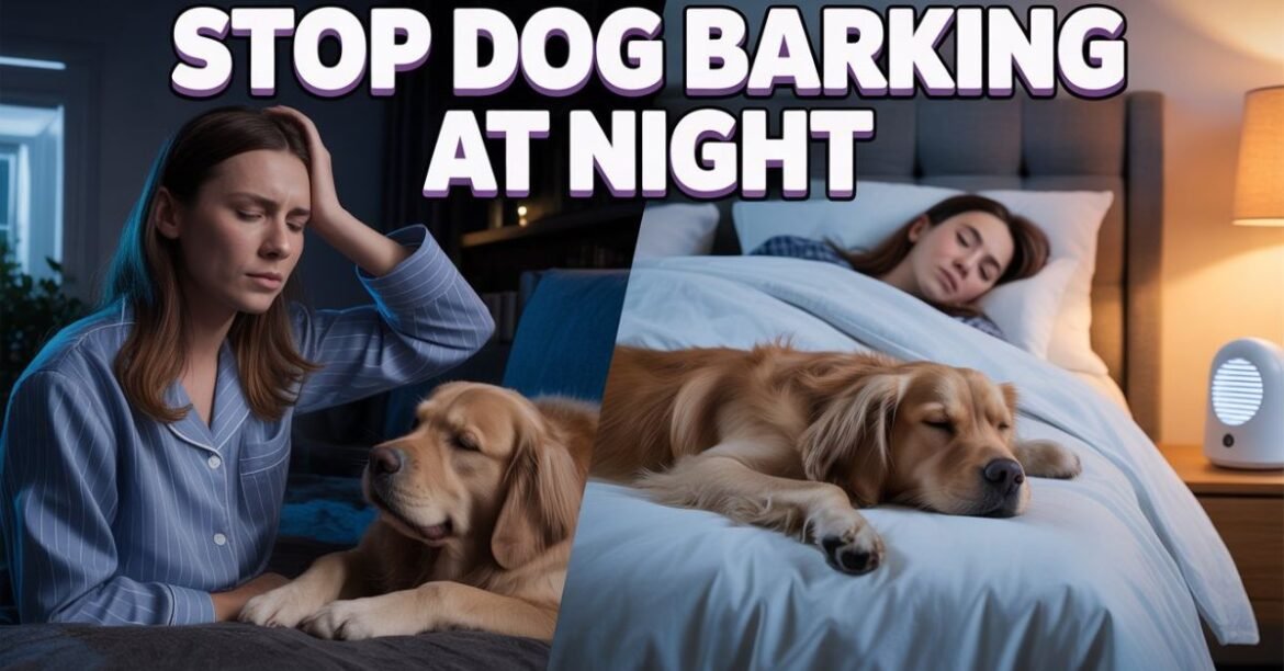 stop dog barking at night