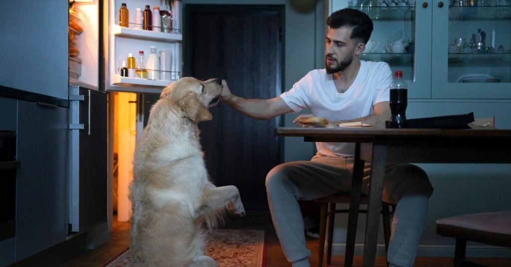 Why the Late-Night Snack Works