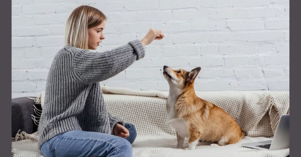 Essential Safety Practices